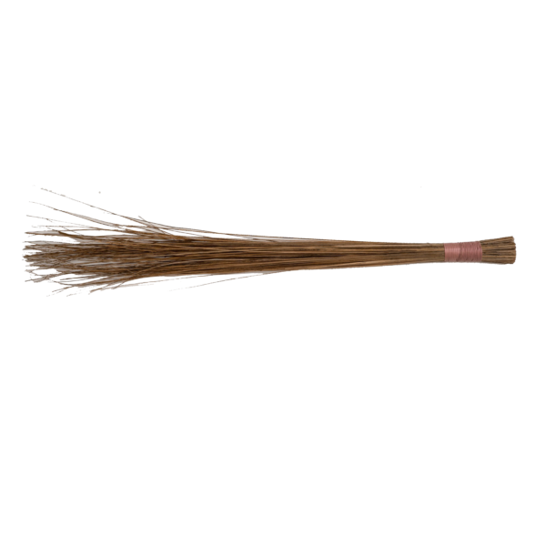 Aone Coco Broom Ordinary (Combo Pack ) - Image 3